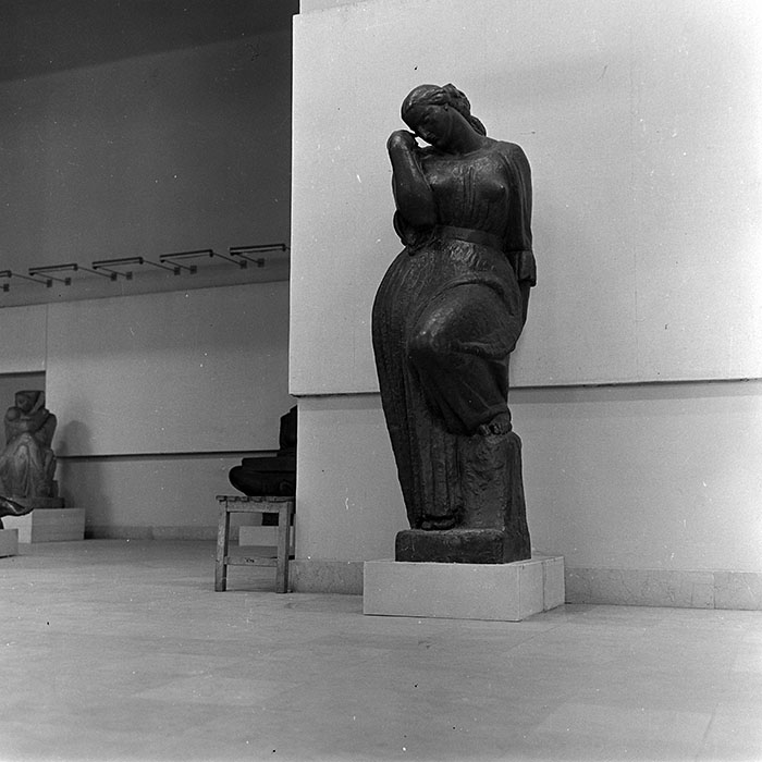 minerva_reproduceri_c1_c2r1_004