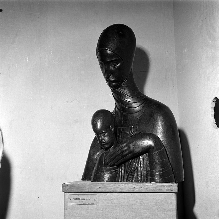 minerva_reproduceri_c1_c2r1_006