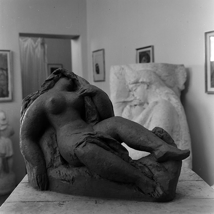 minerva_reproduceri_c1_c2r1_010