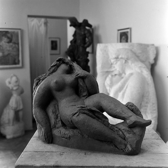 minerva_reproduceri_c1_c2r1_015