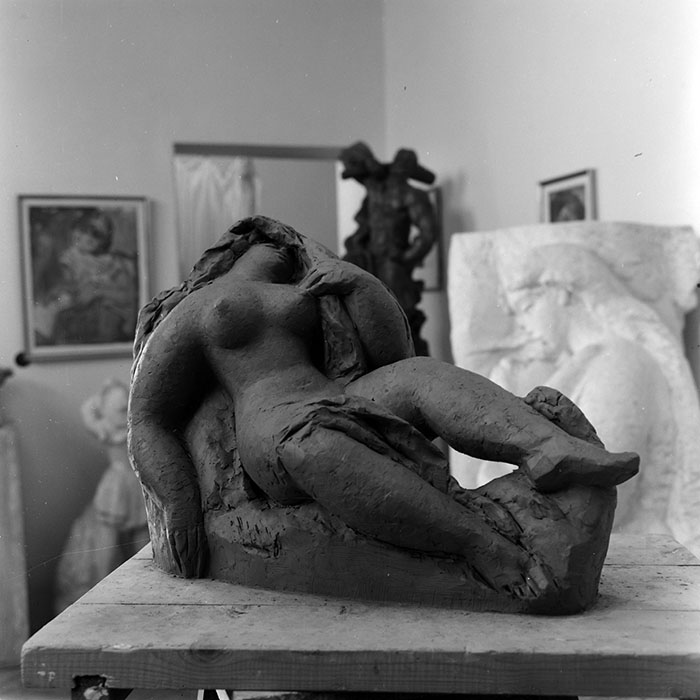 minerva_reproduceri_c1_c2r1_016