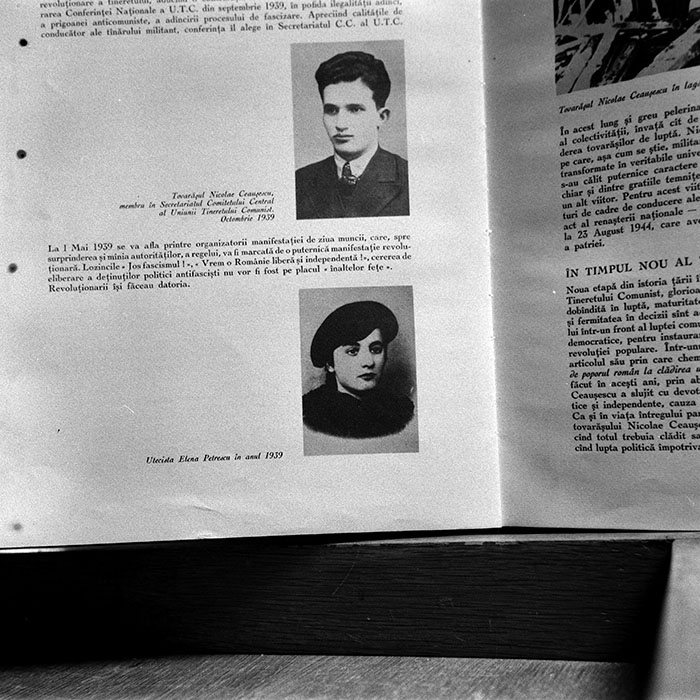 minerva_reproduceri_c1_c2r2_001