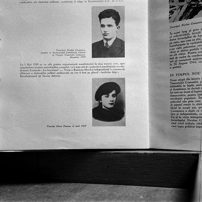 minerva_reproduceri_c1_c2r2_002