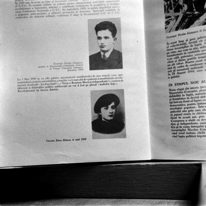 minerva_reproduceri_c1_c2r2_003