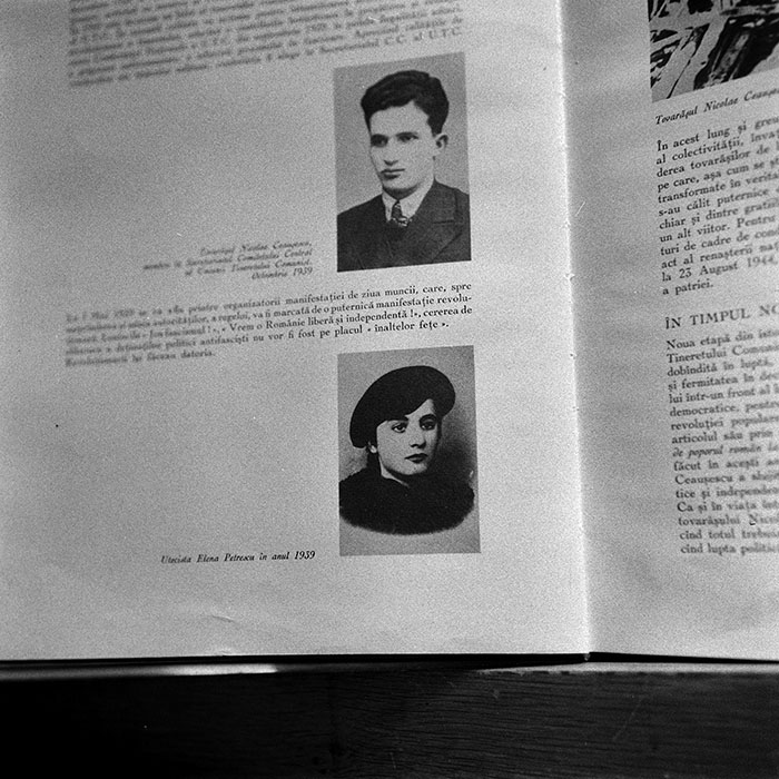 minerva_reproduceri_c1_c2r2_004