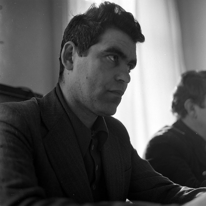 minerva_reproduceri_c1_c2r3_001