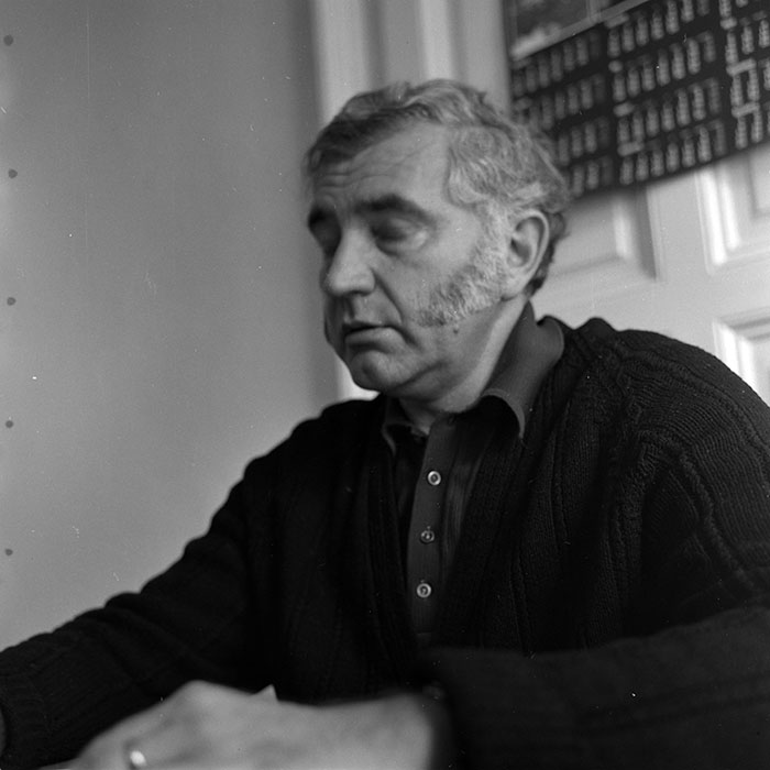 minerva_reproduceri_c1_c2r3_003