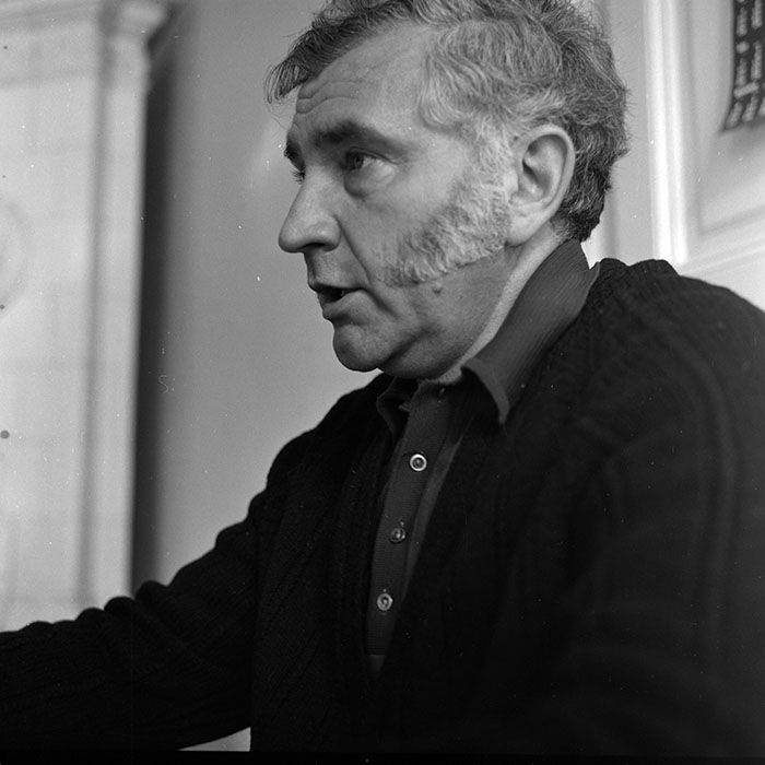 minerva_reproduceri_c1_c2r3_004