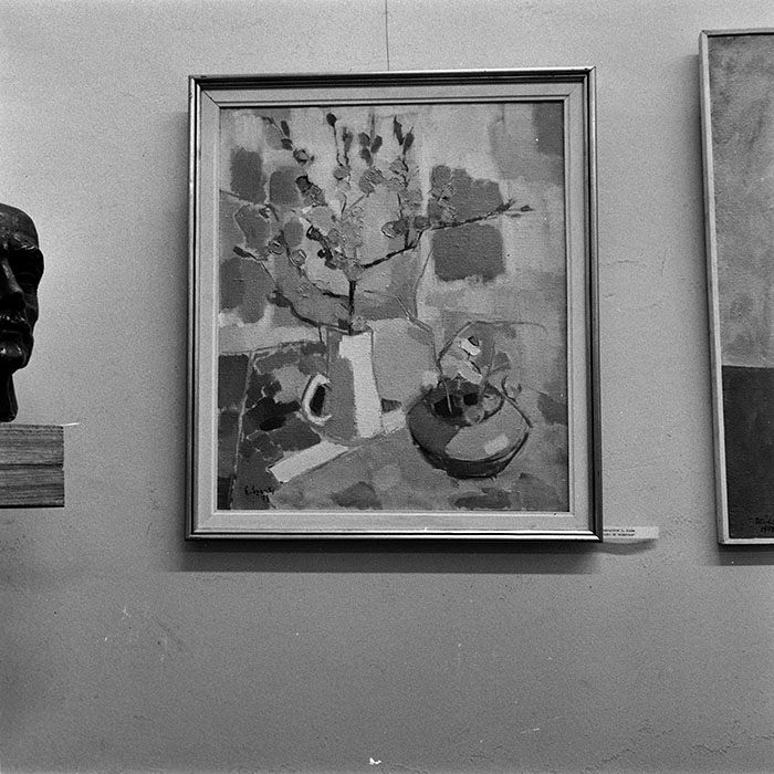 minerva_reproduceri_c1_c2r4_002