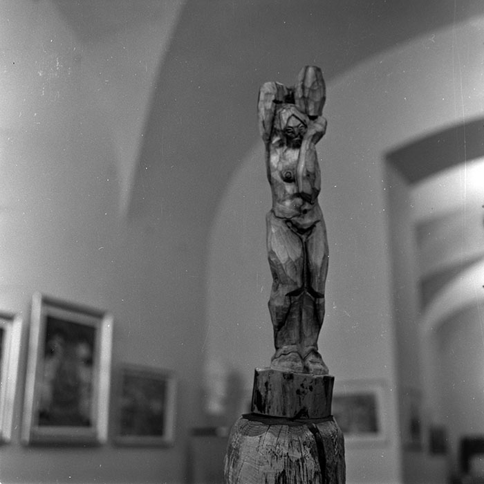 minerva_reproduceri_c1_c3r3_004