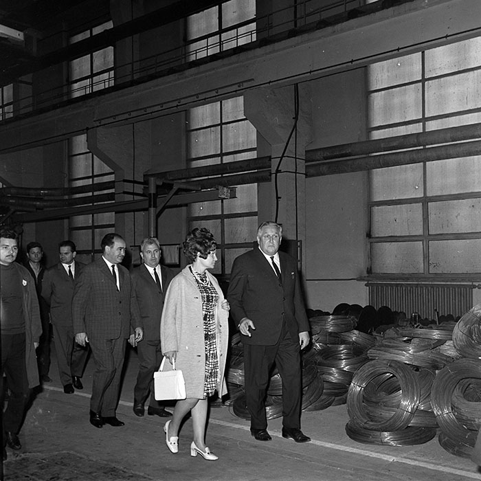 minerva_reproduceri_c1_c3r4_001