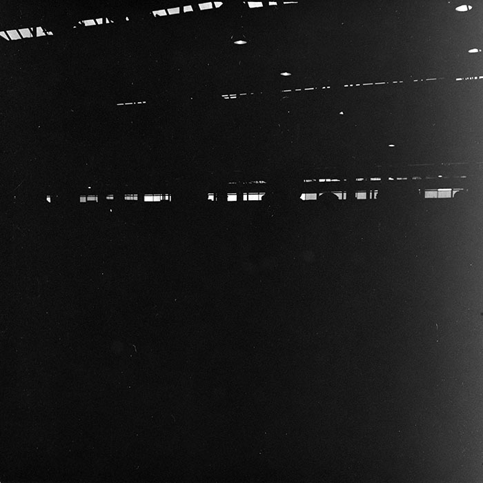 minerva_reproduceri_c1_c3r4_008