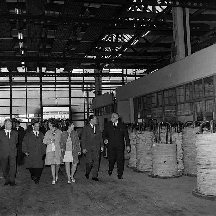 minerva_reproduceri_c1_c3r4_010