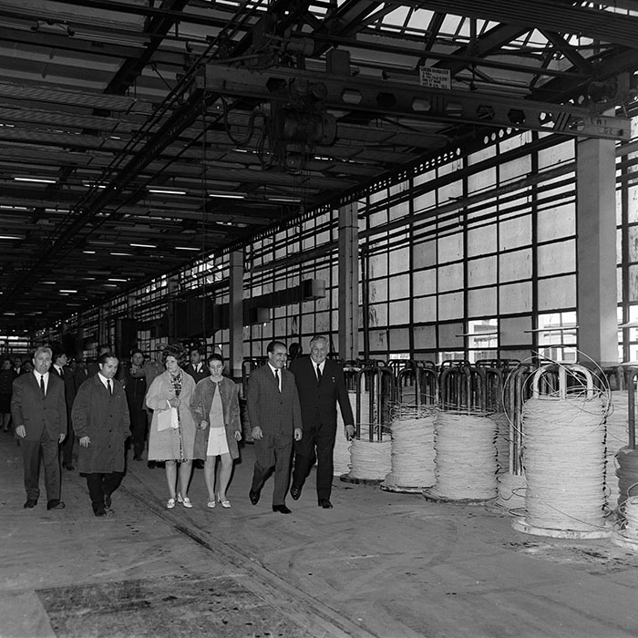 minerva_reproduceri_c1_c3r4_011