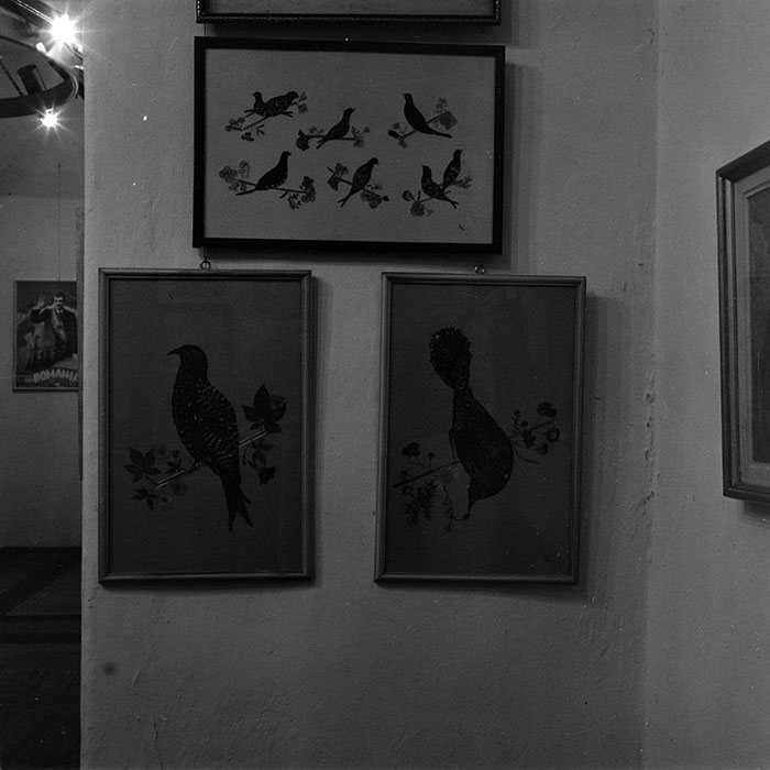 minerva_reproduceri_c1_c3r5_001