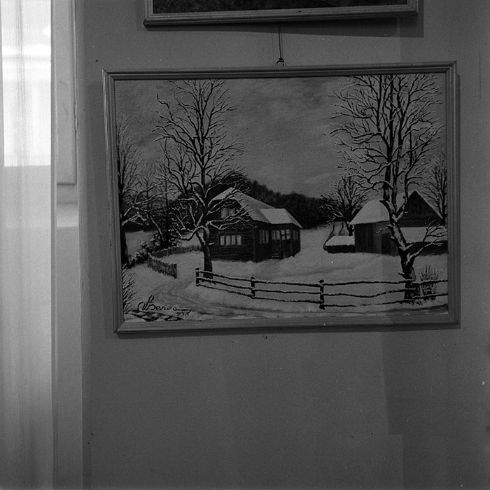 minerva_reproduceri_c1_c3r5_003