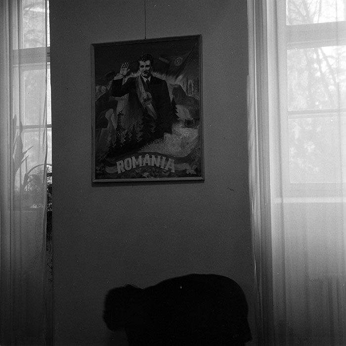 minerva_reproduceri_c1_c3r5_005