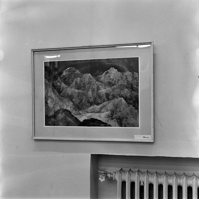 minerva_reproduceri_c1_c3r5_025