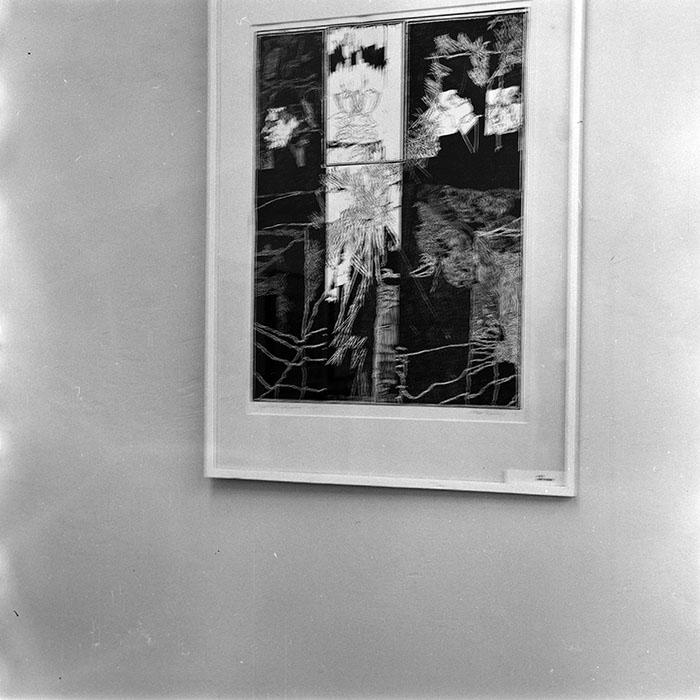 minerva_reproduceri_c1_c3r5_026