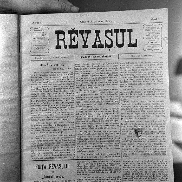 minerva_reproduceri_c1_c4r1_010