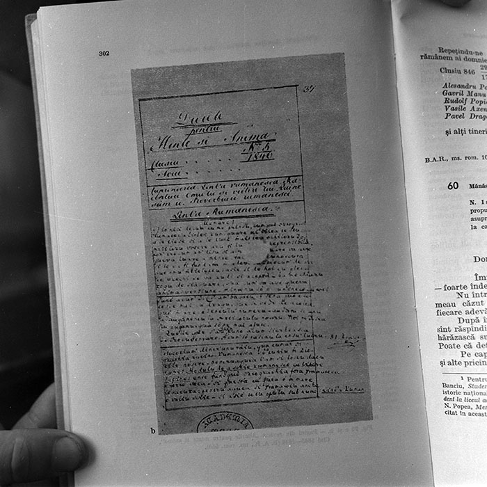 minerva_reproduceri_c1_c4r1_011