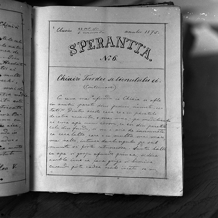 minerva_reproduceri_c1_c4r1_012