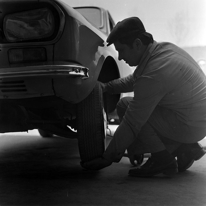 minerva_reproduceri_c1_c4r3_004