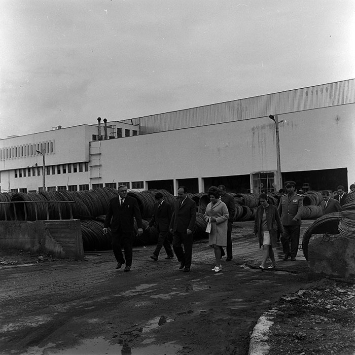 minerva_reproduceri_c1_c4r5_003