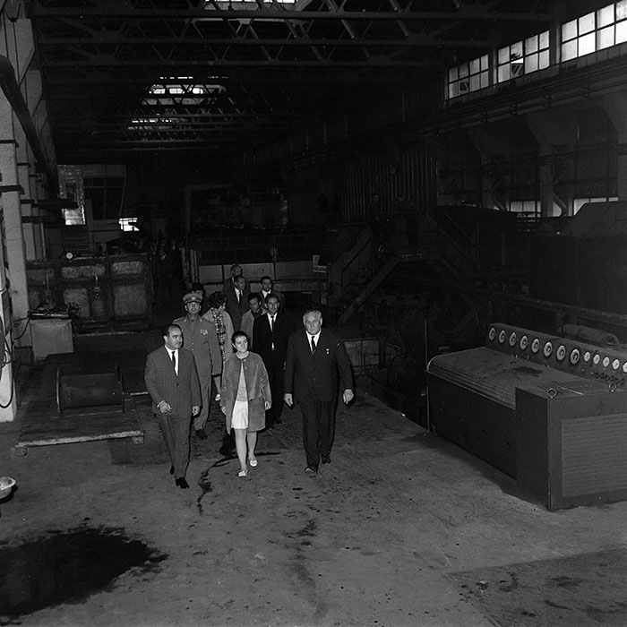 minerva_reproduceri_c1_c4r5_006