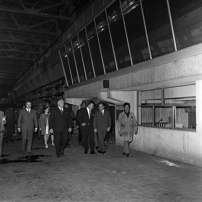 minerva_reproduceri_c1_c4r5_008