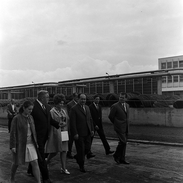 minerva_reproduceri_c1_c4r5_011