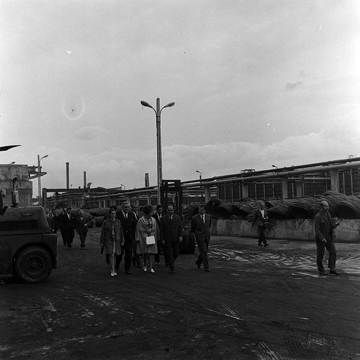 minerva_reproduceri_c1_c4r5_012