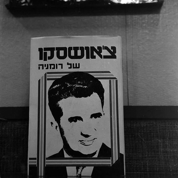 minerva_reproduceri_c1_c5r1_001