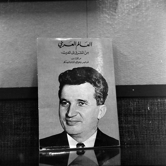 minerva_reproduceri_c1_c5r1_002