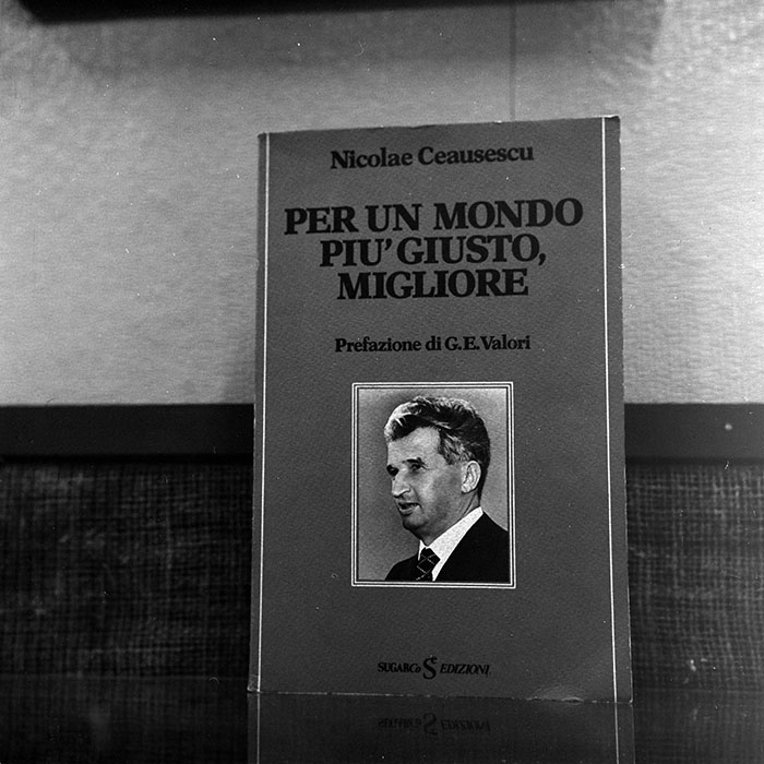 minerva_reproduceri_c1_c5r1_003