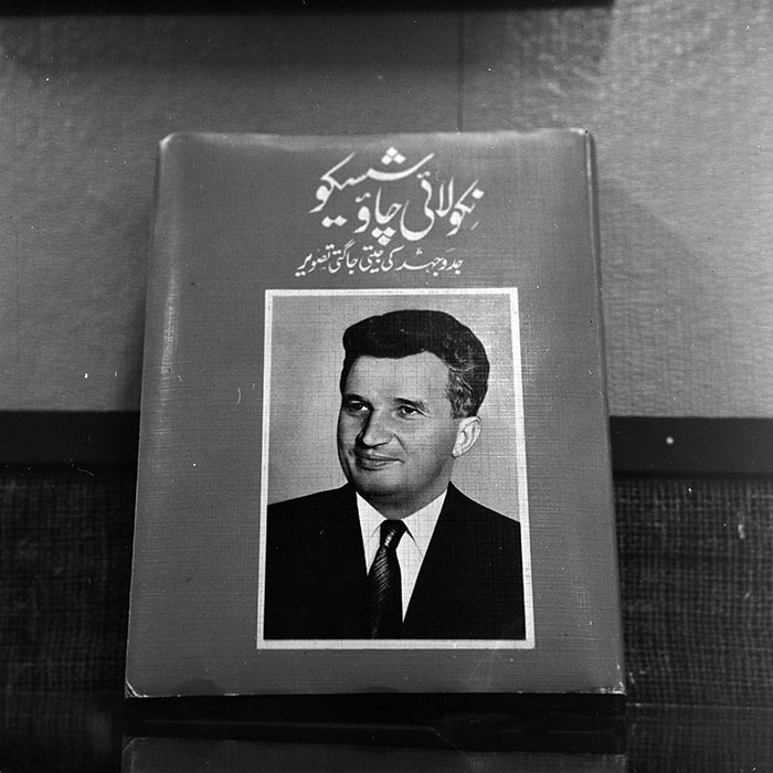 minerva_reproduceri_c1_c5r1_004