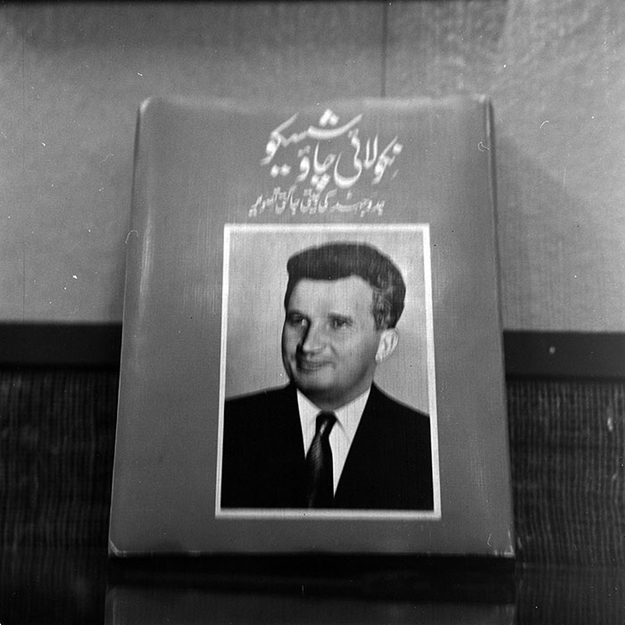 minerva_reproduceri_c1_c5r1_005