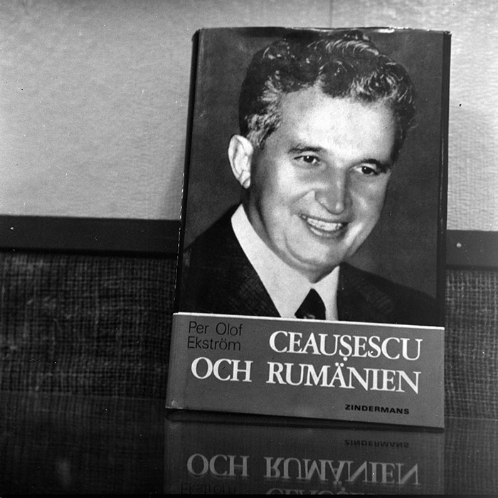 minerva_reproduceri_c1_c5r1_008