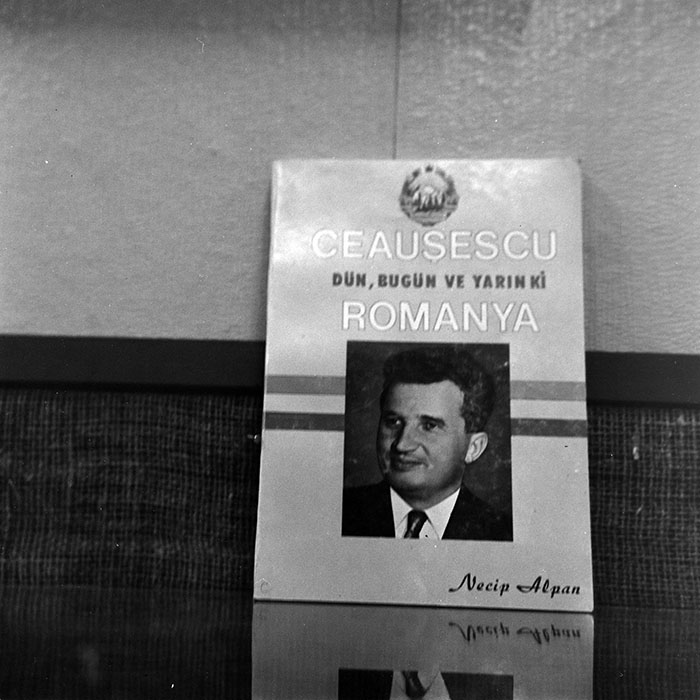 minerva_reproduceri_c1_c5r1_009