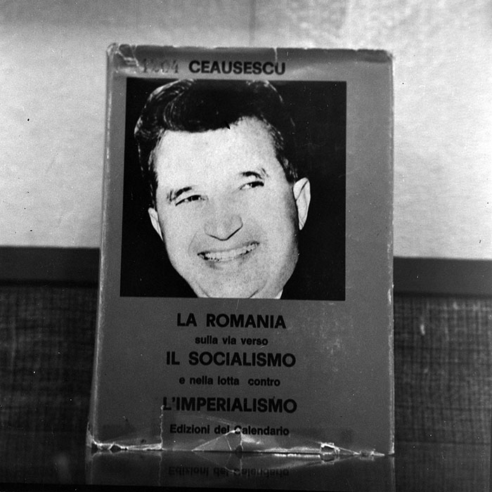 minerva_reproduceri_c1_c5r1_010