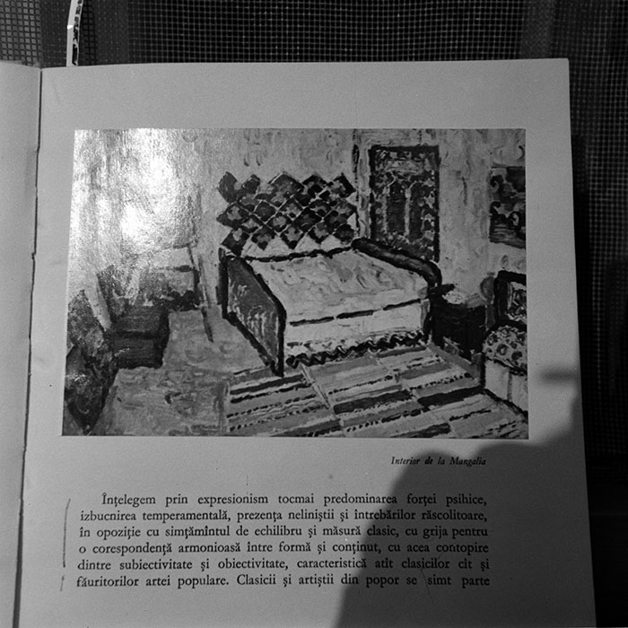 minerva_reproduceri_c1_c5r2_001