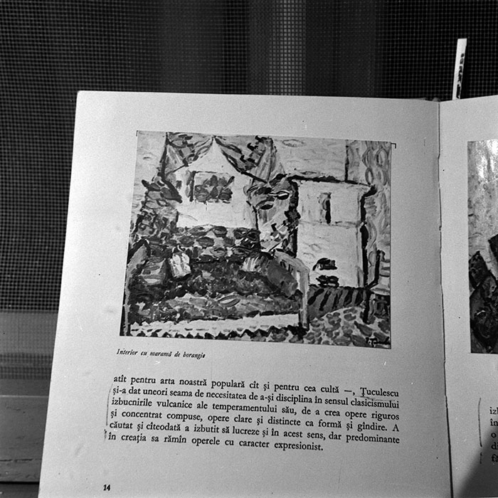 minerva_reproduceri_c1_c5r2_002