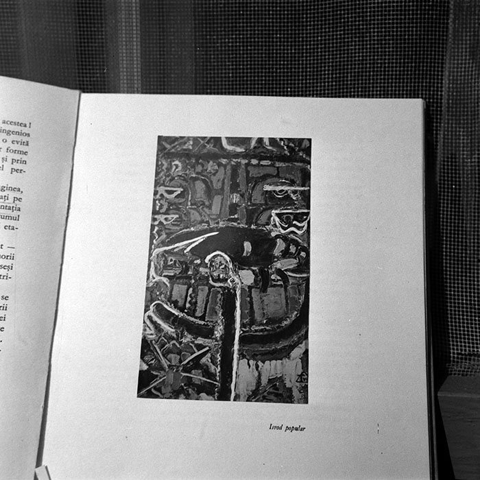 minerva_reproduceri_c1_c5r2_003