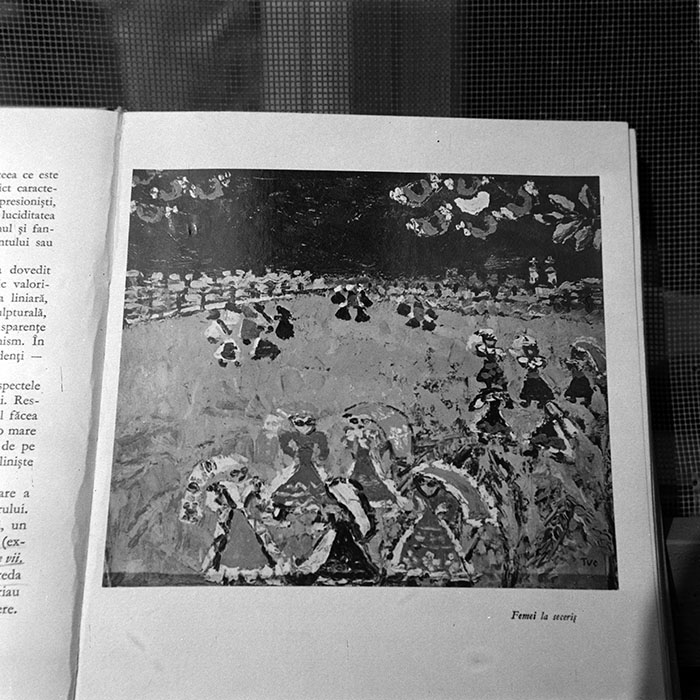 minerva_reproduceri_c1_c5r2_004