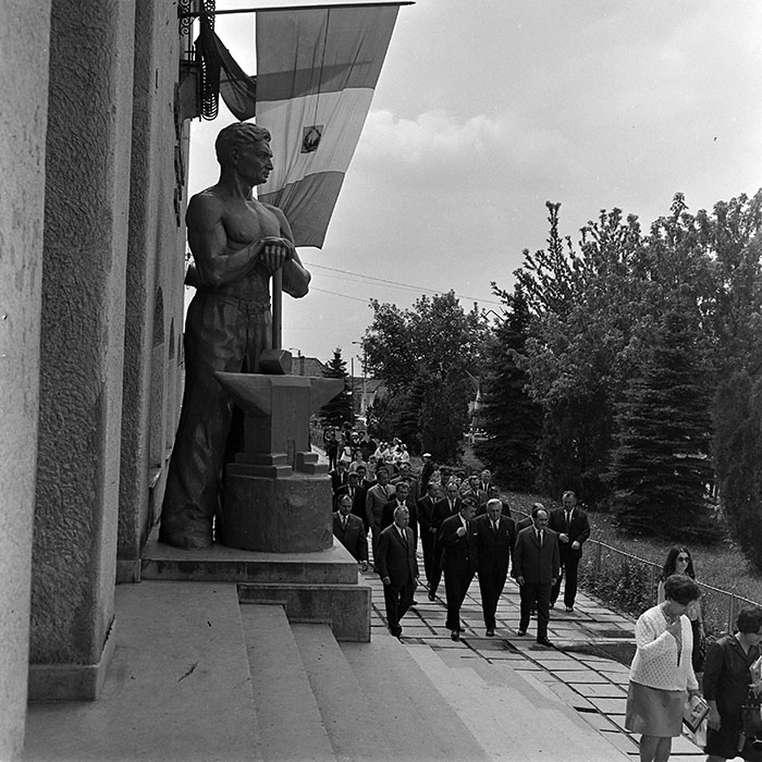 minerva_reproduceri_c1_c5r5_001