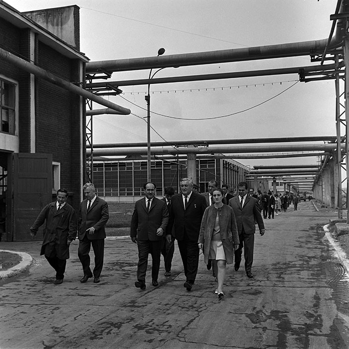 minerva_reproduceri_c1_c5r5_009