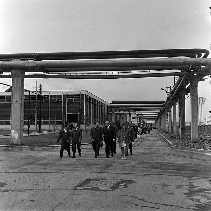 minerva_reproduceri_c1_c5r5_010