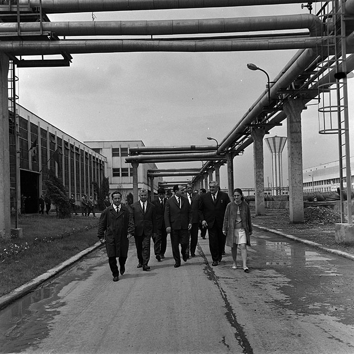 minerva_reproduceri_c1_c5r5_011