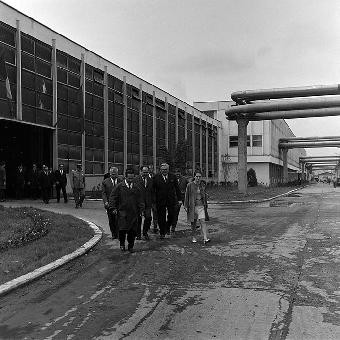 minerva_reproduceri_c1_c5r5_012