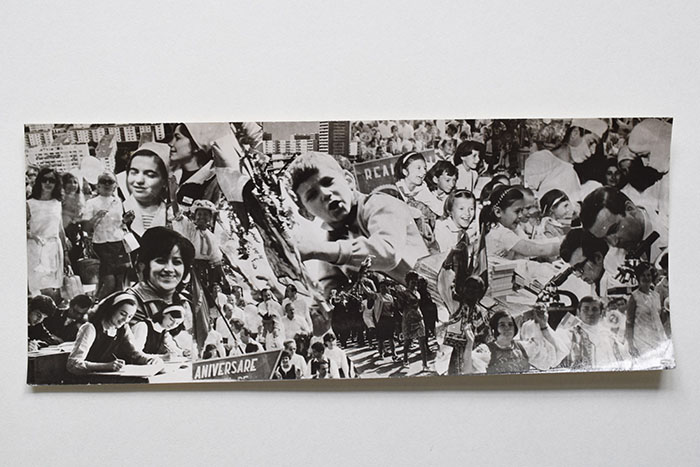 minerva_reproduceri_c1_poze_002